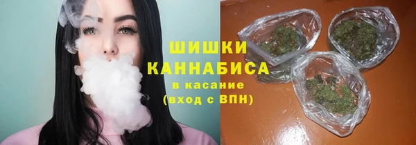 не бодяженный Арсеньев
