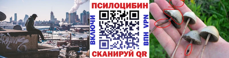 где купить наркотик  Устюжна  Псилоцибиновые грибы Magic Shrooms 